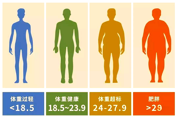 人體健康指標有哪些？輕松讀懂自己的身體信號